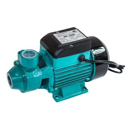 Pompa WZ 250 B 0,25kW/230V