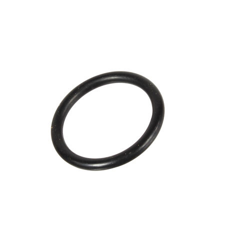 Zestaw naprawczy MULTINOX-A 200/... (zestaw samozasysający) Pentair