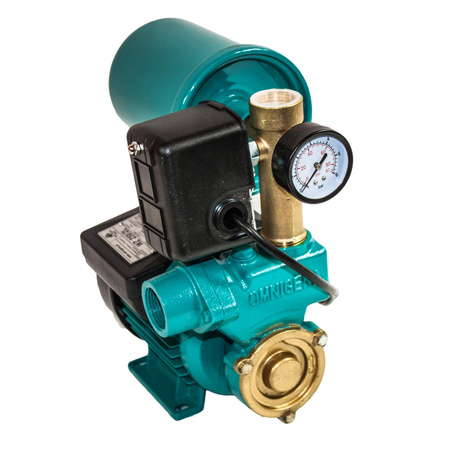 Zestaw hydroforowy WZ 250/2L 0,25kW/230V