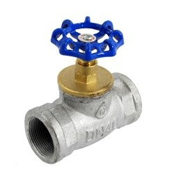 Zawór grzybkowy żeliwny 6/4" GW 10BAR