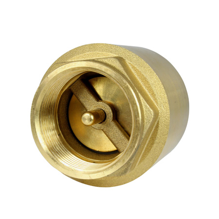 Zawór zwrotny mosiężny EUROPA 6/4" ITAP + siatka zaworu zwrotnego 6/4" Zestaw