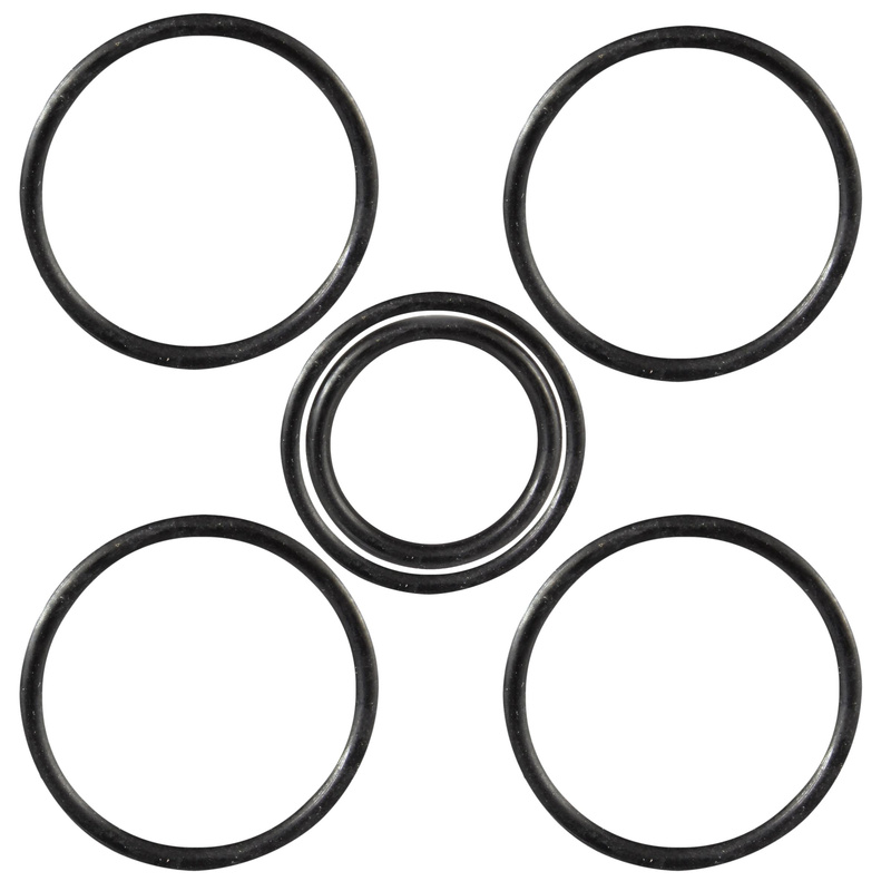 Zestaw oringów do korpusu-adaptera Logix 255 Autotrol/Logix/Pentair - 1001404