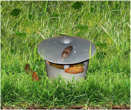 Pułapka na ślimaki - złota Zestaw 16x