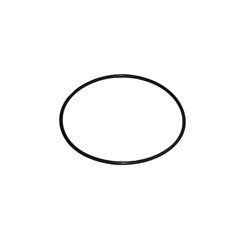 Oring (uszczelka) korpusu filtra 10"
