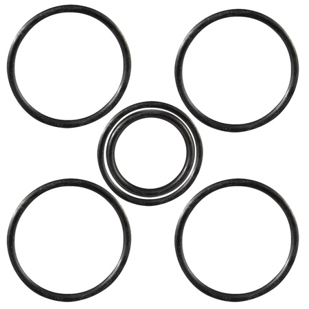 Zestaw oringów do korpusu-adaptera Logix 255 Autotrol/Logix/Pentair - 1001404