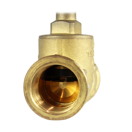 Zawór grzybkowy mosiężny 1" GW 10BAR